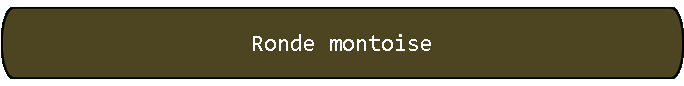 Ronde montoise